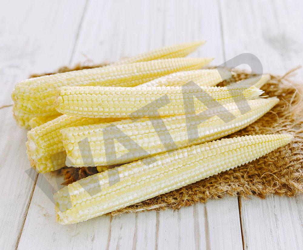 BABY-CORN-WHOLE