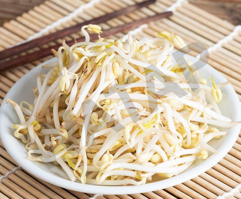 BEAN SPROUT Watapthailand