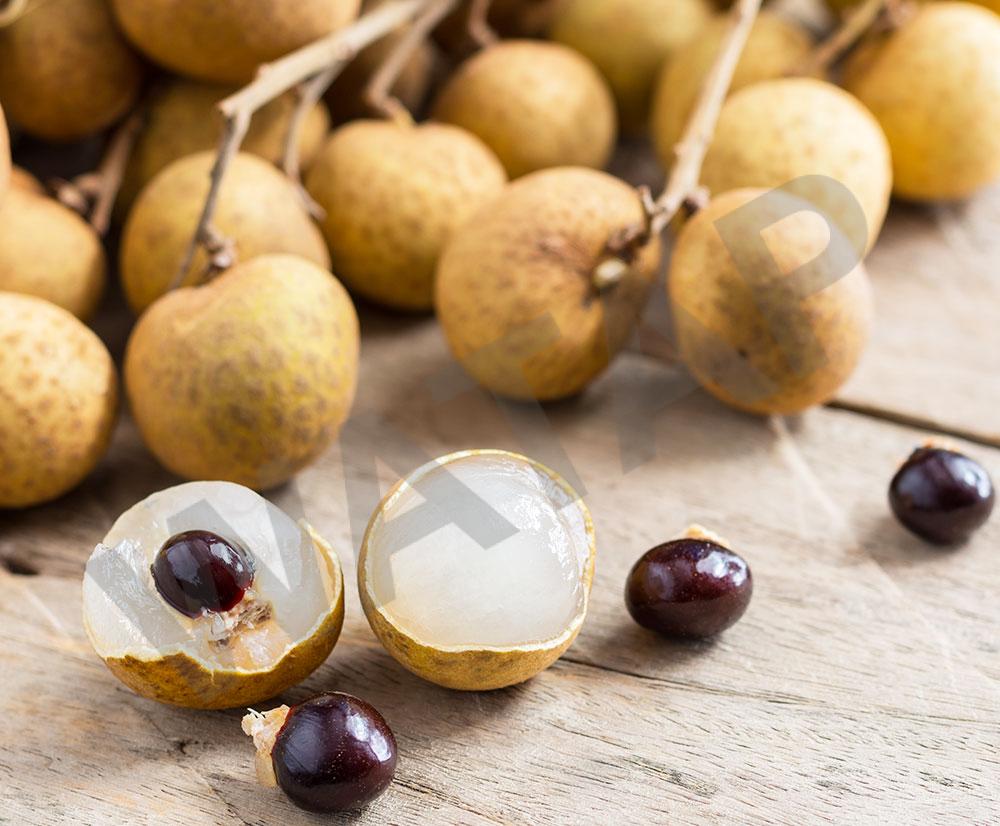 LONGAN