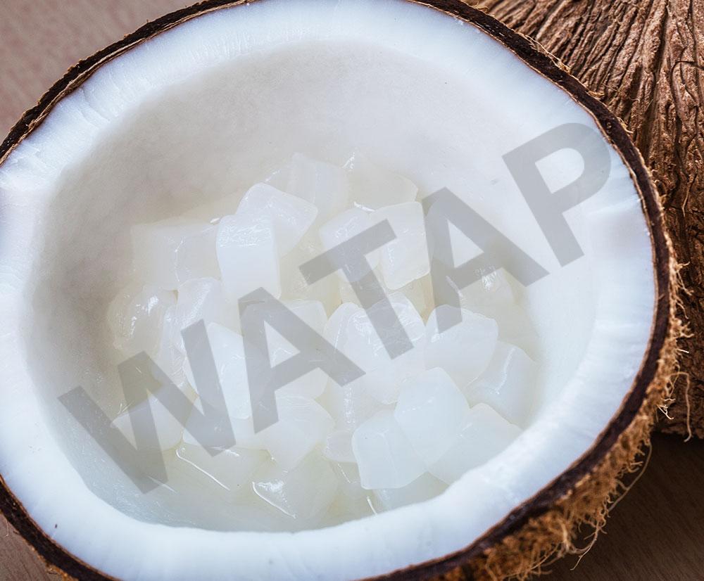 NATA-DE-COCO