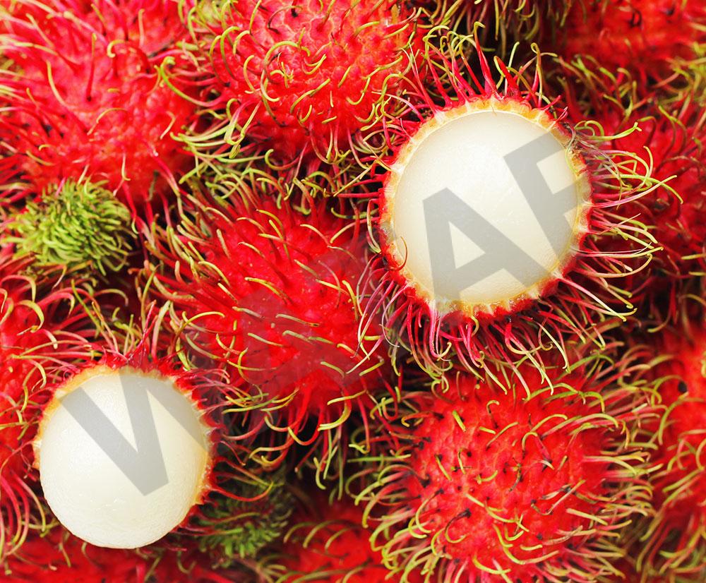 RAMBUTAN