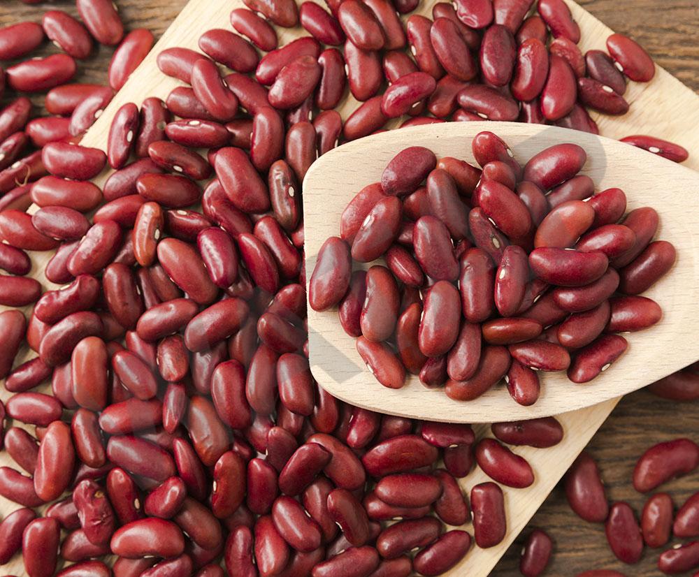 RED-KIDNEY-BEAN