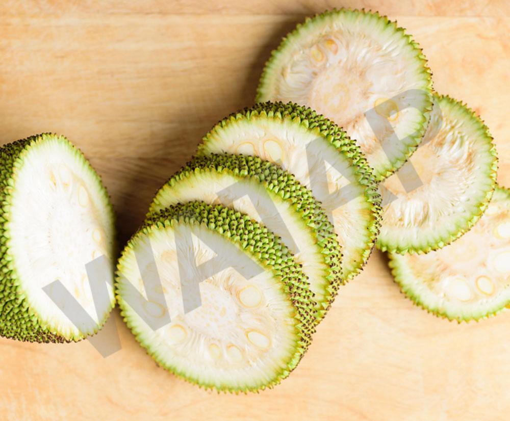 green-jackfruit